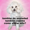 🔮Memes que NECESITAS🔮 14