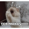 B TERIMAKASI