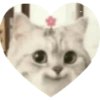 Love Kitten 🐾🐱 13