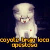 💫 Memes Halloween🤣❣️ 25