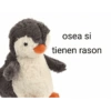 osea si tienen rason