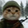 MEME KUCING 28
