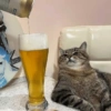 MOOD FIM DE SEMANA 13
