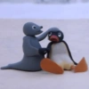 Pingu 🐧 24