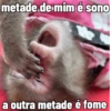 🐒 Macaco pra Reagir 16