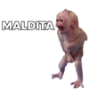 MALDITA