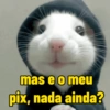 mas e o meu pix, nada ainda?