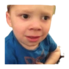 Gavin 8