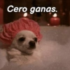 Cero ganas.