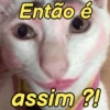 DRAMA E DEBOCHE 7