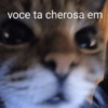 Frases amor/engraçadas 12