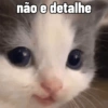 não e detalhe