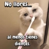 No llores... al menos tienes dientes.