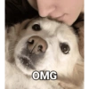 Layla & jake 8