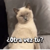 ¿Otra vez tú?