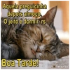 Aquela preguicinha depois almoço. O jeito é dormir. rs Boa Tarde! Imagens Diárias