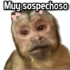 Changuitos Stickers🐒🍌 7