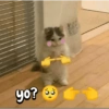 yo?