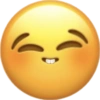 Memoji 19