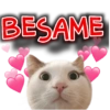 BESAME