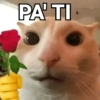 ^⎚ ˕ ⎚^Michis CaÓticos🐾 5