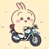 Usagi chiikawa 🐰 8