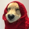 MOOD FIM DE SEMANA 8