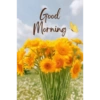 Good morning 23