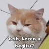 tcih, keren u begitu?