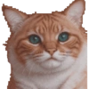 Michis Pixelados ≫🐈≪ 9