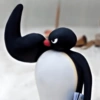 Pingu 🐧 14