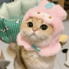 Gatos Cute 🤩😍 7