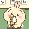 Usagi chiikawa 🐰 13