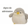 digno de admirasion