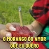 Morango do Amor 🍓 23