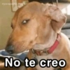 @paraguayita 01 No te creo