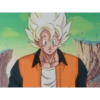 Goku 25