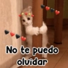 No te puedo olvidar