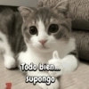 Todo bien... supongo