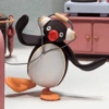 Pingu 🐧 25