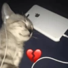 ^⎚ ˕ ⎚^Michis CaÓticos🐾 6