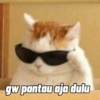 gw pantau aja dulu