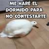 ME HARÉ EL DORMIDO PARA NO CONTESTARTE