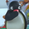 Pingu 🐧 17
