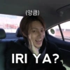 (앙큼)
IRI YA?