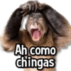Changuitos Stickers🐒🍌 13