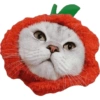 Olhas os gatinhos fofinhos 20