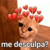 MEMES PARA OS CASAIS ❤️😍 13