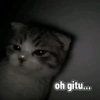 Low quality cat 11