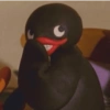 Pingu 🐧 5